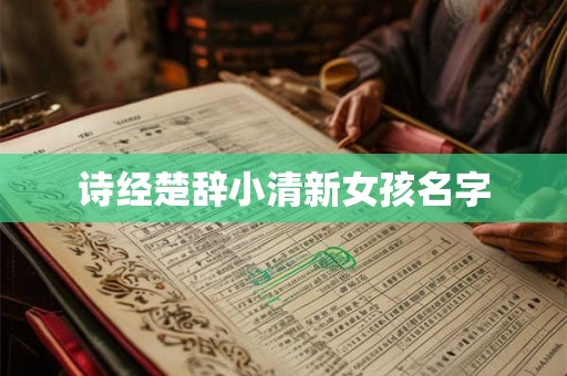 诗经楚辞小清新女孩名字 诗经楚辞小清新女孩名字