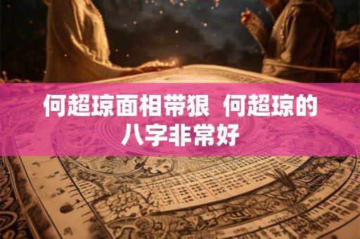 何超琼面相带狠 何超琼的八字非常好 何超琼面相带狠 何超琼的八字非常好