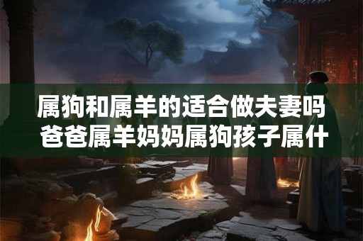 属狗和属羊的适合做夫妻吗 爸爸属羊妈妈属狗孩子属什么好
