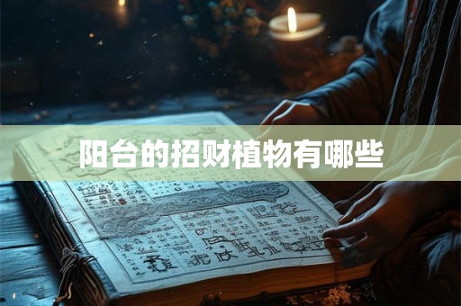 阳台的招财植物有哪些