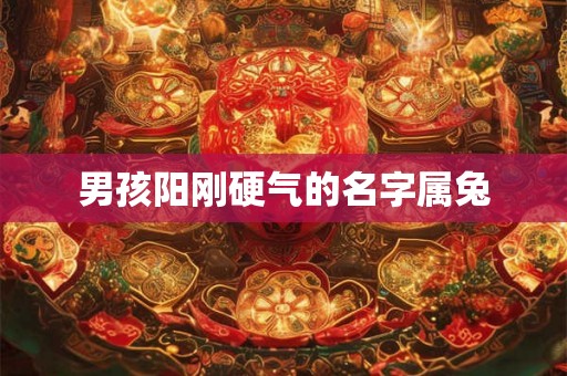 男孩阳刚硬气的名字属兔 男孩阳刚硬气的名字属兔