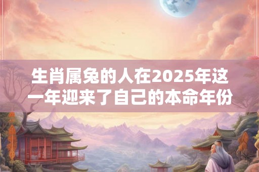 生肖属兔的人在2025年这一年迎来了自己的本命年份 生肖属兔的人在2025年这一年迎来了自己的本命年份