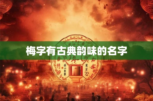 梅字有古典韵味的名字 梅字有古典韵味的名字