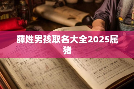 薛姓男孩取名大全2025属猪 薛姓男孩取名大全2025属猪