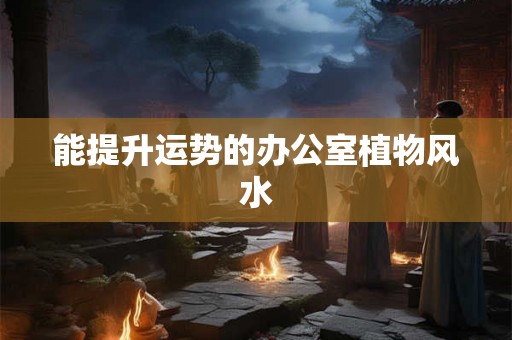 能提升运势的办公室植物风水 能提升运势的办公室植物风水
