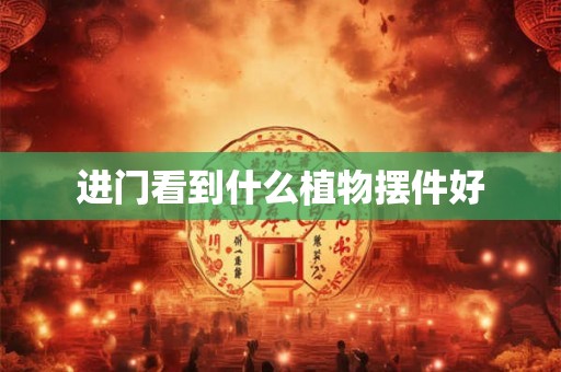 进门看到什么植物摆件好 进门看到什么植物摆件好