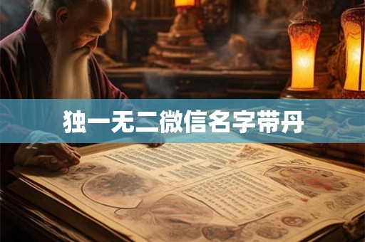 独一无二微信名字带丹 独一无二微信名字带丹