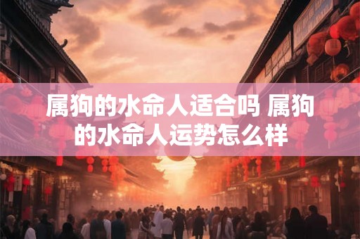 属狗的水命人适合吗 属狗的水命人运势怎么样 属狗的水命人适合吗 属狗的水命人运势怎么样