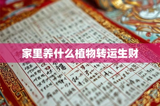 家里养什么植物转运生财 家里养什么植物转运生财