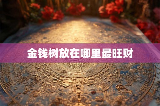 金钱树放在哪里最旺财