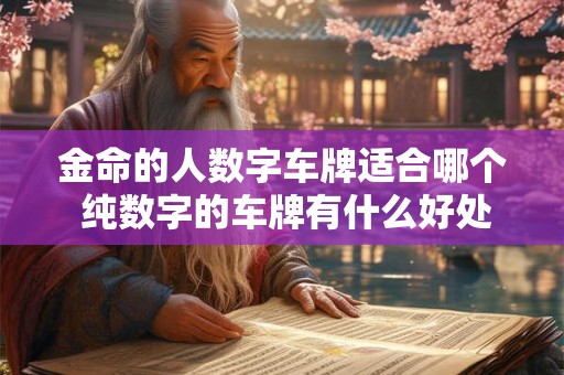 金命的人数字车牌适合哪个 纯数字的车牌有什么好处 金命的人数字车牌适合哪个 纯数字的车牌有什么好处