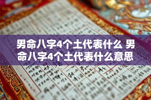 男命八字4个土代表什么 男命八字4个土代表什么意思 男命八字4个土代表什么 男命八字4个土代表什么意思