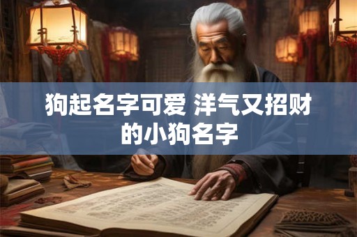 狗起名字可爱 洋气又招财的小狗名字
