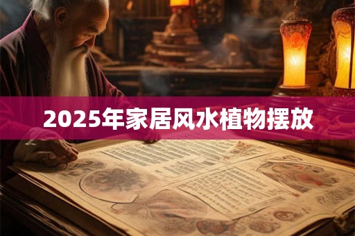2025年家居风水植物摆放 2025年家居风水植物摆放
