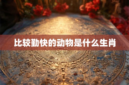 比较勤快的动物是什么生肖 比较勤快的动物是什么生肖