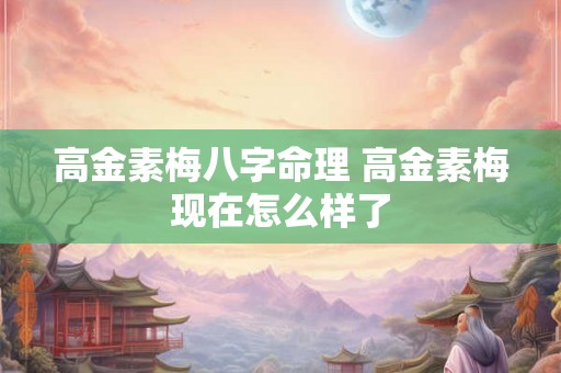 高金素梅八字命理 高金素梅现在怎么样了 高金素梅八字命理 高金素梅现在怎么样了