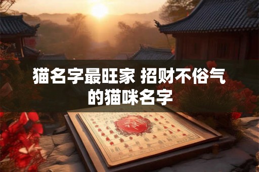 猫名字最旺家 招财不俗气的猫咪名字 猫名字最旺家 招财不俗气的猫咪名字