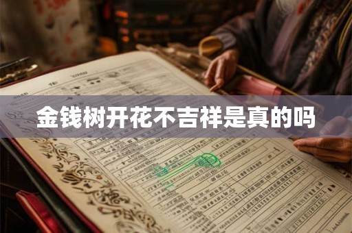 金钱树开花不吉祥是真的吗 金钱树开花不吉祥是真的吗