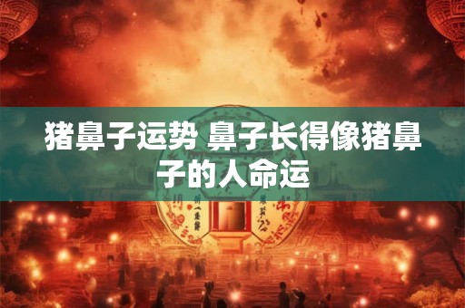 猪鼻子运势 鼻子长得像猪鼻子的人命运 猪鼻子运势 鼻子长得像猪鼻子的人命运