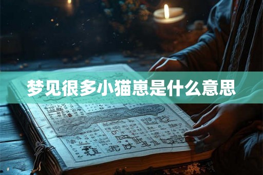 梦见很多小猫崽是什么意思 梦见很多小猫崽是什么意思