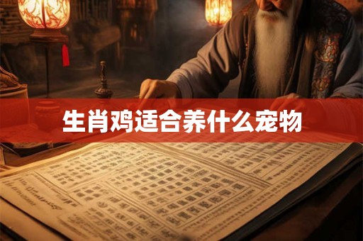 生肖鸡适合养什么宠物