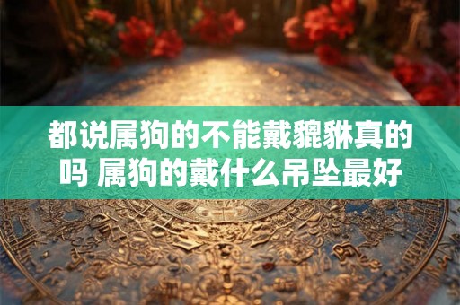 都说属狗的不能戴貔貅真的吗 属狗的戴什么吊坠最好 都说属狗的不能戴貔貅真的吗 属狗的戴什么吊坠最好