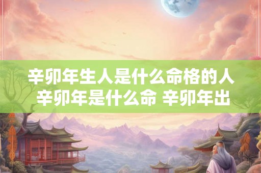 辛卯年生人是什么命格的人 辛卯年是什么命 辛卯年出生人五行属什么