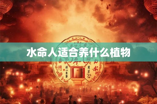 水命人适合养什么植物