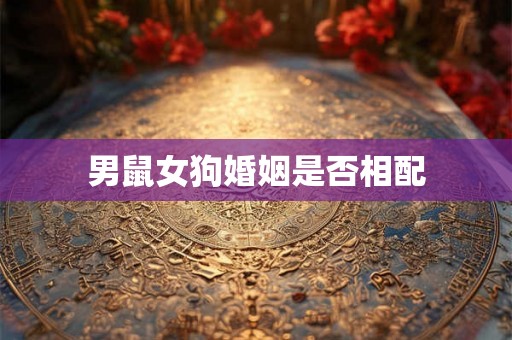 男鼠女狗婚姻是否相配 男鼠女狗婚姻是否相配