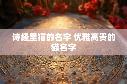 诗经里猫的名字 优雅高贵的猫名字 诗经里猫的名字 优雅高贵的猫名字
