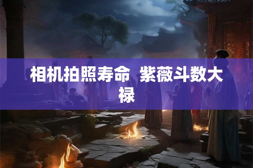 相机拍照寿命 紫薇斗数大禄 相机拍照寿命 紫薇斗数大禄