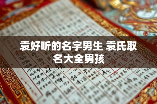 袁好听的名字男生 袁氏取名大全男孩 袁好听的名字男生 袁氏取名大全男孩
