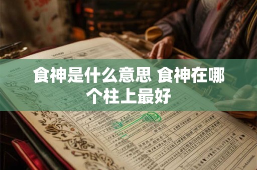 食神是什么意思 食神在哪个柱上最好 食神是什么意思 食神在哪个柱上最好