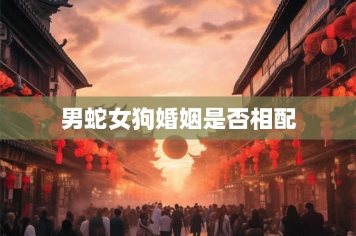 男蛇女狗婚姻是否相配 男蛇女狗婚姻是否相配