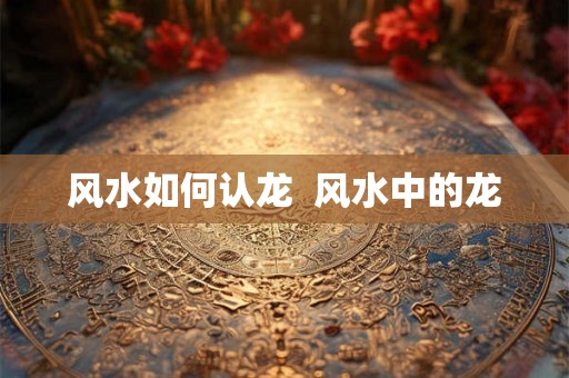 风水如何认龙 风水中的龙 风水如何认龙 风水中的龙