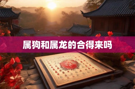 属狗和属龙的合得来吗