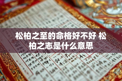 松柏之至的命格好不好 松柏之志是什么意思
