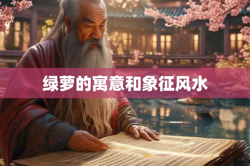 绿萝的寓意和象征风水