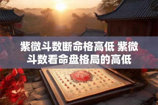 紫微斗数断命格高低 紫微斗数看命盘格局的高低 紫微斗数断命格高低 紫微斗数看命盘格局的高低