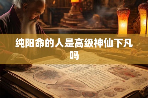 纯阳命的人是高级神仙下凡吗 纯阳命的人是高级神仙下凡吗