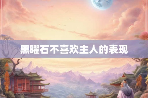 黑曜石不喜欢主人的表现