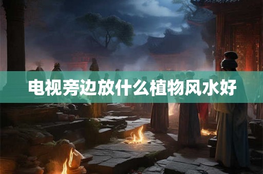 电视旁边放什么植物风水好
