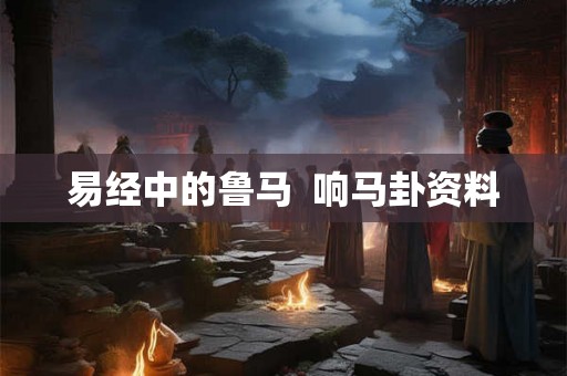 易经中的鲁马 响马卦资料 易经中的鲁马 响马卦资料