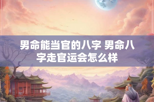 男命能当官的八字 男命八字走官运会怎么样 男命能当官的八字 男命八字走官运会怎么样