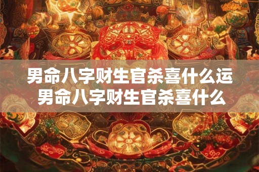 男命八字财生官杀喜什么运 男命八字财生官杀喜什么运气 