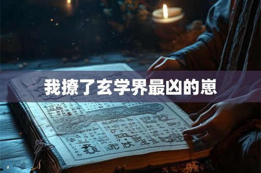 我撩了玄学界最凶的崽 我撩了玄学界最凶的崽