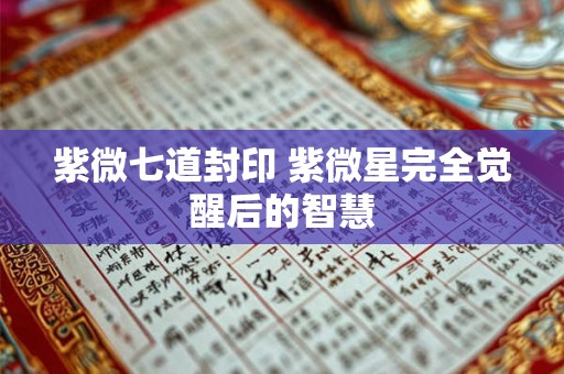 紫微七道封印 紫微星完全觉醒后的智慧 紫微七道封印 紫微星完全觉醒后的智慧