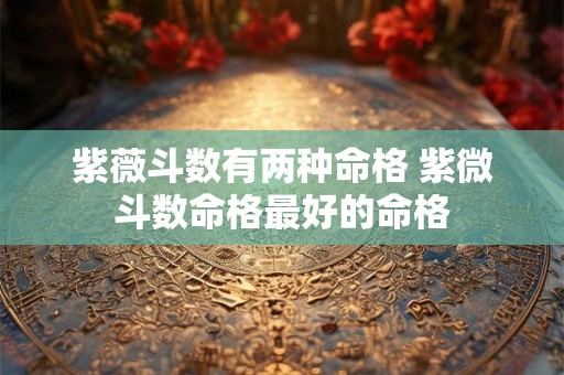 紫薇斗数有两种命格 紫微斗数命格最好的命格 紫薇斗数有两种命格 紫微斗数命格最好的命格