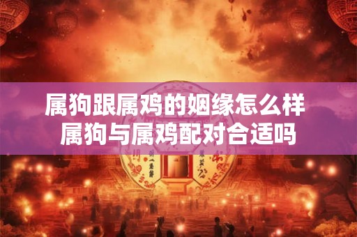 属狗跟属鸡的姻缘怎么样 属狗与属鸡配对合适吗 属狗跟属鸡的姻缘怎么样 属狗与属鸡配对合适吗