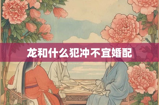 龙和什么犯冲不宜婚配